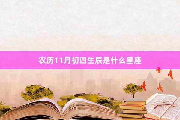 农历11月初四生辰是什么星座