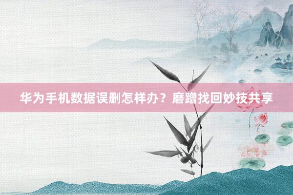 华为手机数据误删怎样办？磨蹭找回妙技共享