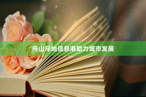 舟山斥地信息港助力城市发展