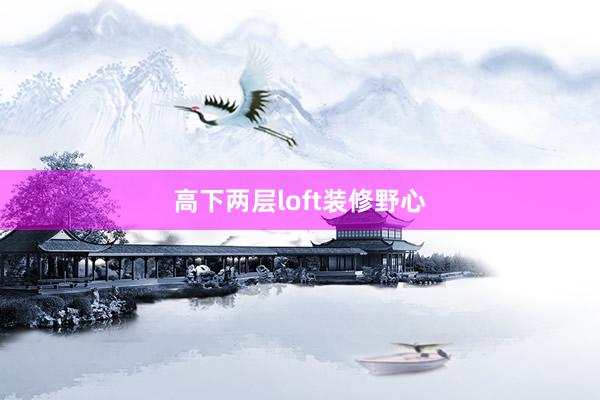 高下两层loft装修野心