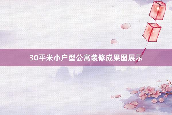 30平米小户型公寓装修成果图展示