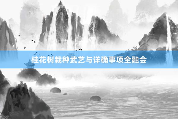 桂花树栽种武艺与详确事项全融会